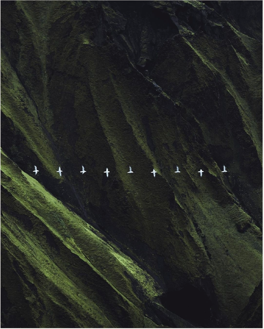 Rooted In Nature, Refined By Science