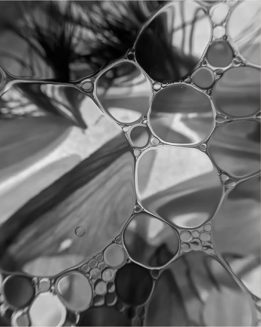 Vegan Rainforest Ingredients From Healthy Soil